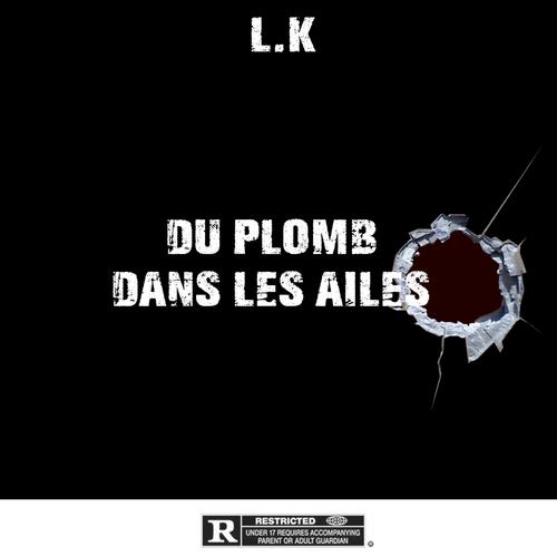 du plomb dans les ailes (feat. Libre.K) [Explicit]