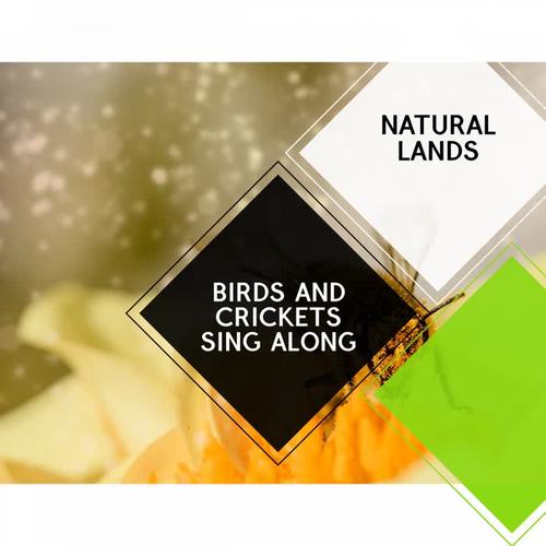 Birds and Crickets Sing Along - Natural Lands