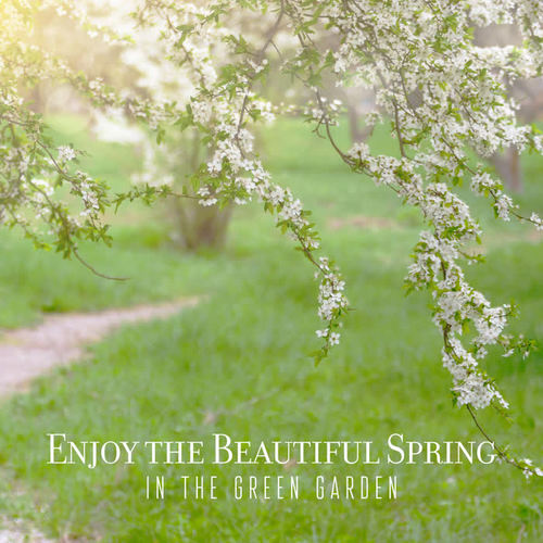 Enjoy the Beautiful Spring in the Green Garden