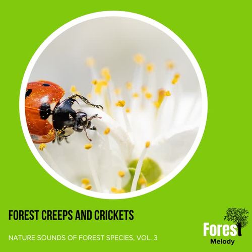 Forest Creeps and Crickets - Nature Sounds of Forest Species, Vol. 3