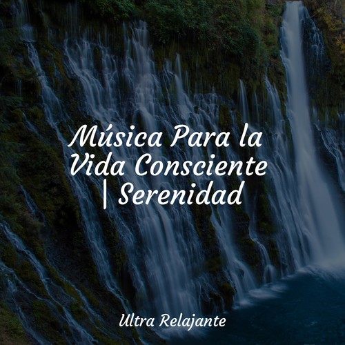 Música Para la Vida Consciente | Serenidad