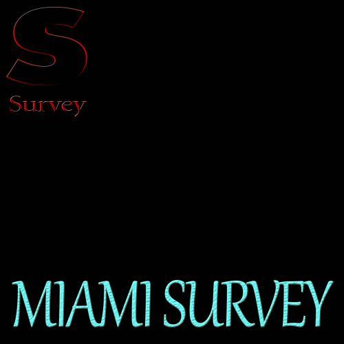 MIAMI SURVEY