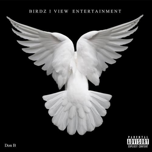 The BIV Way