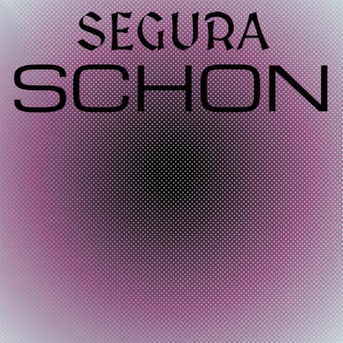 Segura Schon