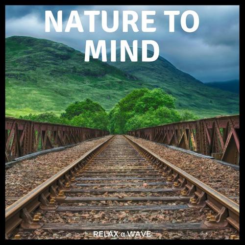 Nature to Mind - Relaxing Concentration Piano