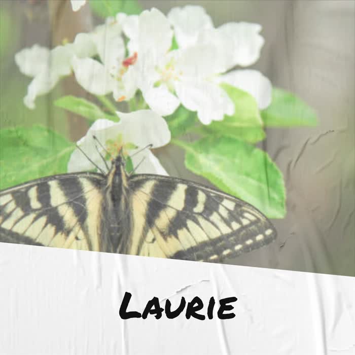 Laurie