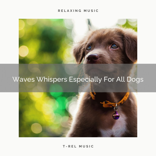 Waves Whispers Especially For All Dogs
