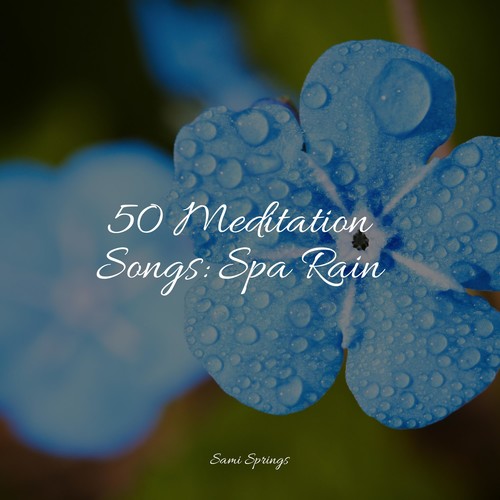 50 Meditation Songs: Spa Rain