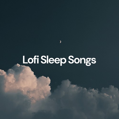 Lofi Sleep Songs