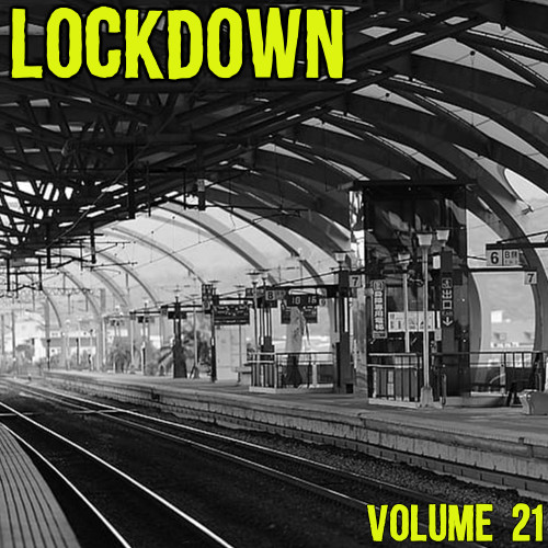 Lock Down Vol. 21