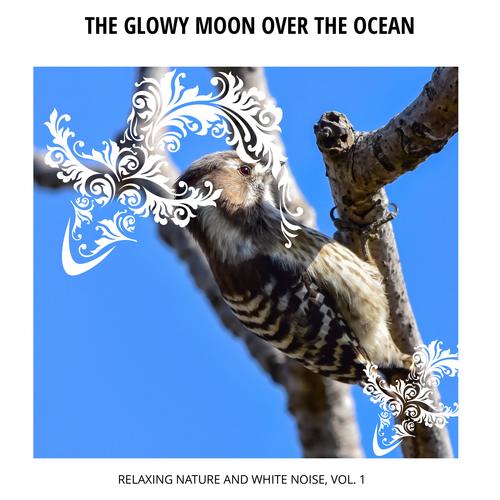 The Glowy Moon Over the Ocean - Relaxing Nature and White Noise, Vol. 1