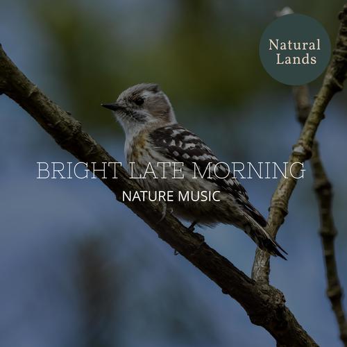 Bright Late Morning - Nature Music