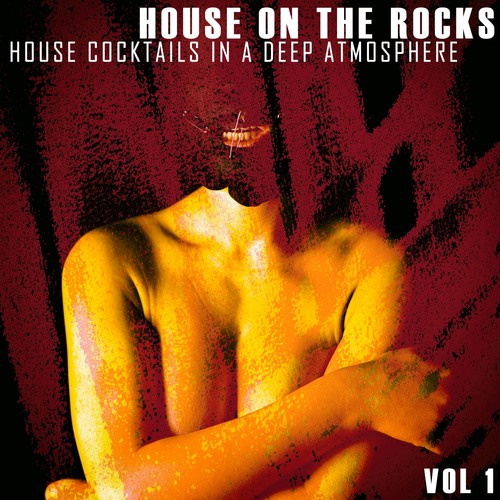 House on the Rocks, Vol. 1