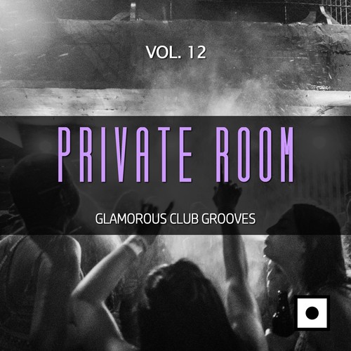 Private Room, Vol. 12 (Glamorous Club Grooves)