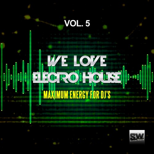 We Love Electro House, Vol. 5 (Maximum Energy For DJ's)