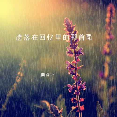 遗落在回忆里的那首歌