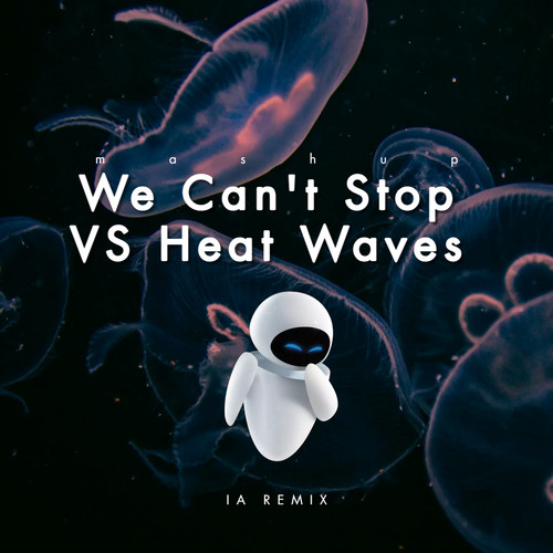 We Can't Stop VS Heat Waves (Mashup Times Remix)