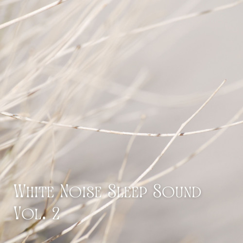 White Noise Sleep Sound Vol. 2