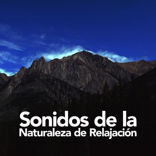 Sonidos de la Naturaleza de Relajación