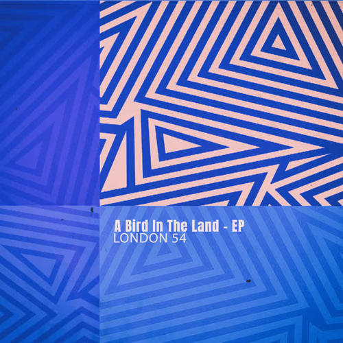 A Bird in the Land - EP