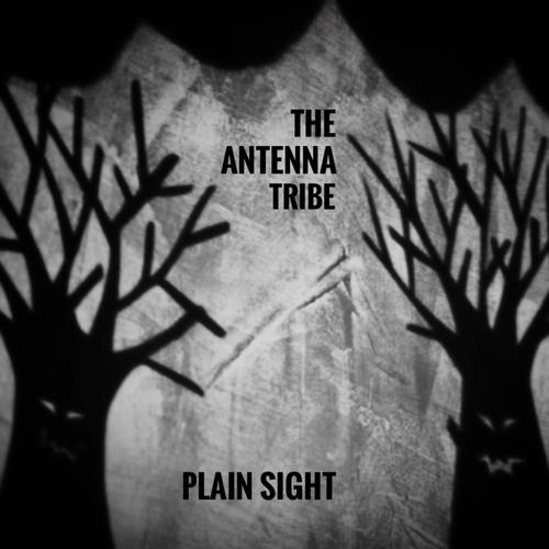 Plain Sight (feat. Silke)