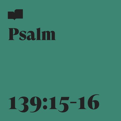 Psalm 139:15-16 (feat. Rivers & Robots)