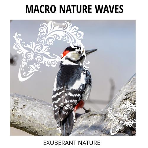 Macro Nature Waves - Exuberant Nature