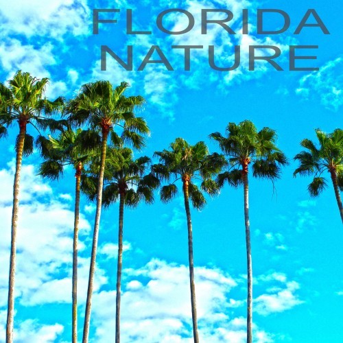 Florida Nature