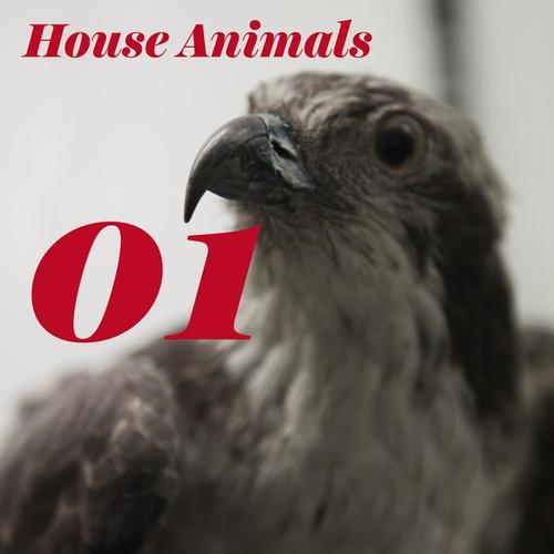 House Animals, Vol. 1 (Explicit)