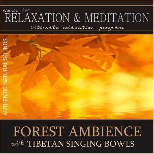 Forest Ambience With Tibetan Singing Bowls: Music for Relaxation and Meditation - Single