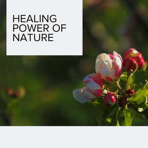 Healing Power of Nature