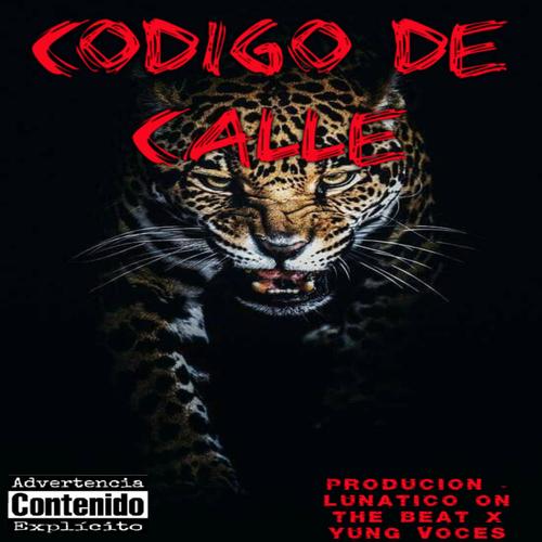 codigo de calle (Explicit)