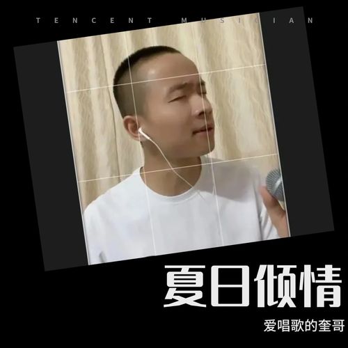 夏日倾情