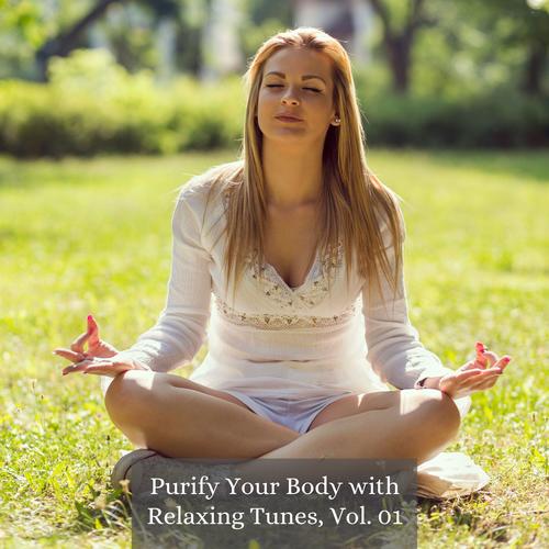 Purify Your Body with Relaxing Tunes, Vol. 01