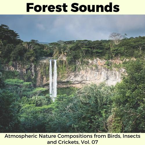 Forest Sounds - Atmospheric Nature Compositions from Birds, Insects and Crickets, Vol. 07