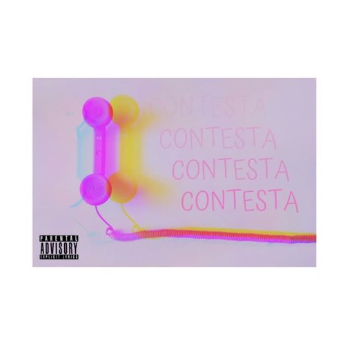 Contesta