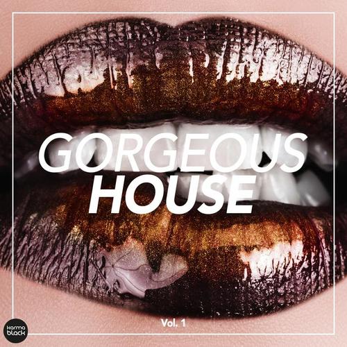 Gorgeous House, Vol. 1