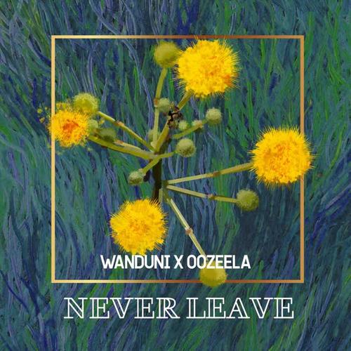 Never Leave (feat. Oozeela)