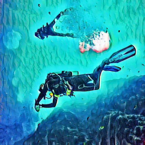 Free Dive