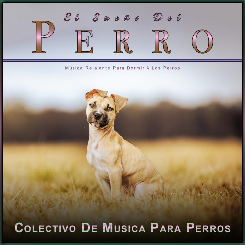 El Sueño Del Perro: Música Relajante Para Dormir A Los Perros