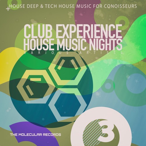 Club Experience: House Music Nights, Vol. 3