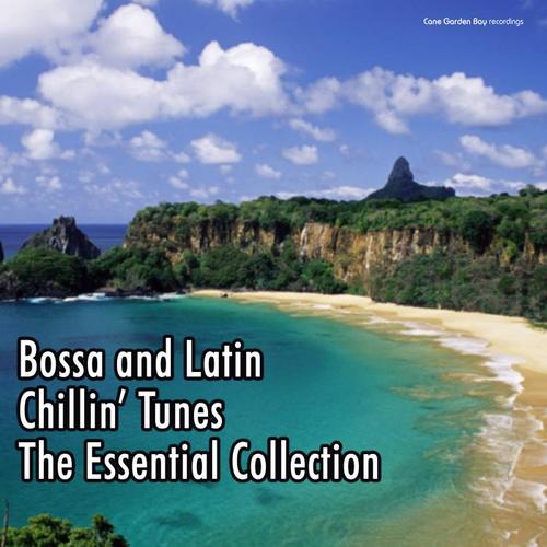 Bossa and Latin Chillin' Tunes - The Essential Collection