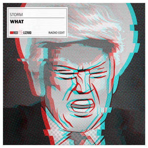 What (Radio Edit)