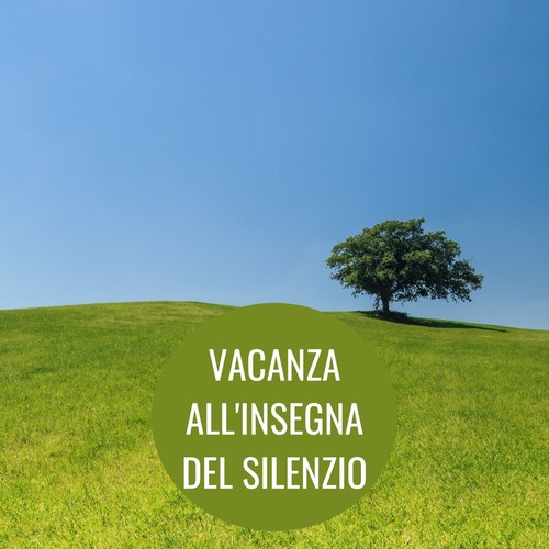 Vacanza All'insegna Del Silenzio