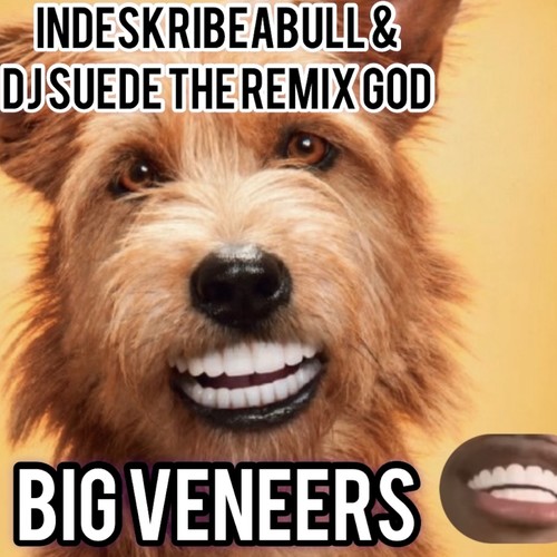 Big Veneers (feat. Dj Suede The Remix God)