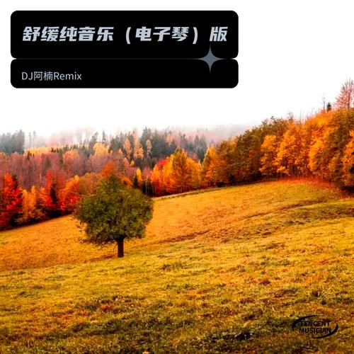 舒缓纯音乐（电子琴版）