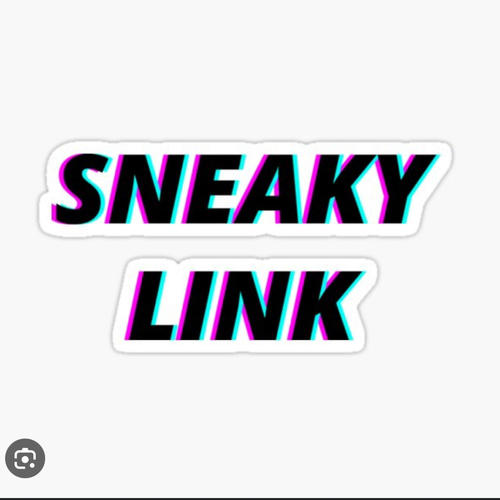 Sneaky Link (feat. Scoot Da Kidd) [Explicit]