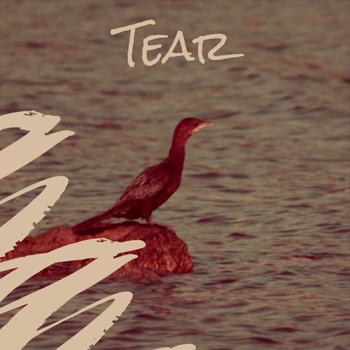 Tear