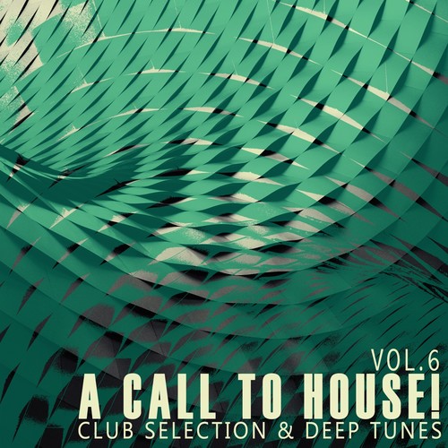 A Call to House!, Vol. 6