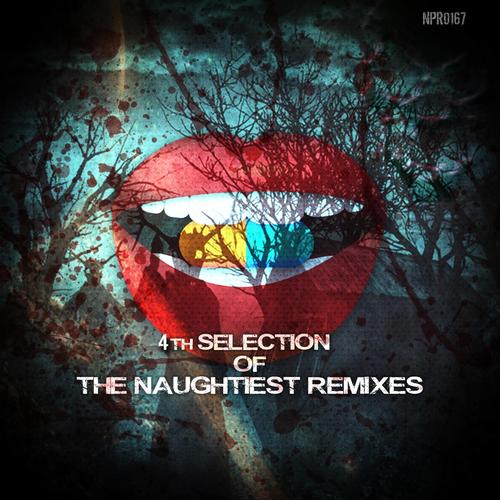 4th Selection Of The Naughtiest Remixes